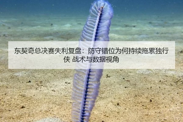 东契奇总决赛失利复盘：防守错位为何持续拖累独行侠 战术与数据视角